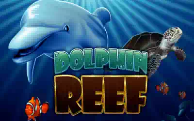 Dolphin Reef