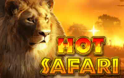 Hot Safari