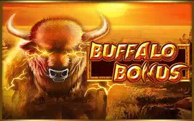 Buffalo Bonus